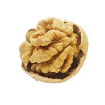 مشخصات مغز گردو درجه یک تازه