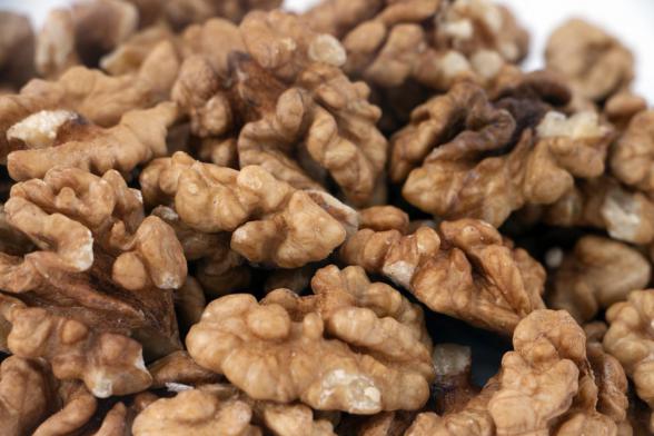 بازار خرید مغز گردو ارگانیک عمده