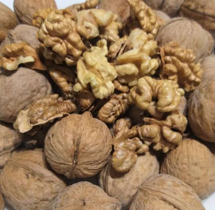 نحوه تشخیص مغز گردو مرغوب